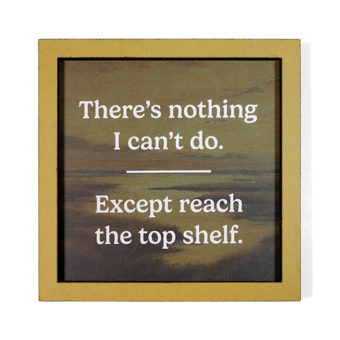 Reach the Top Shelf - Funny Wooden Magnet