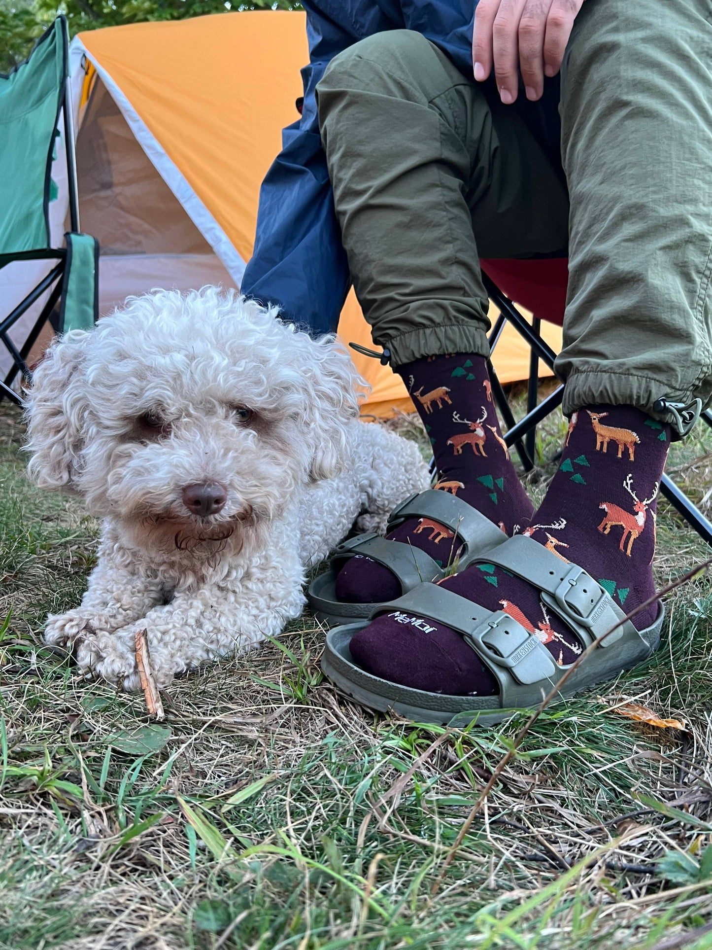 MeMoi Oh Deer Bamboo Blend Men's Crew Socks