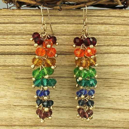 Rainbow Bead Cluster Drop Earrings