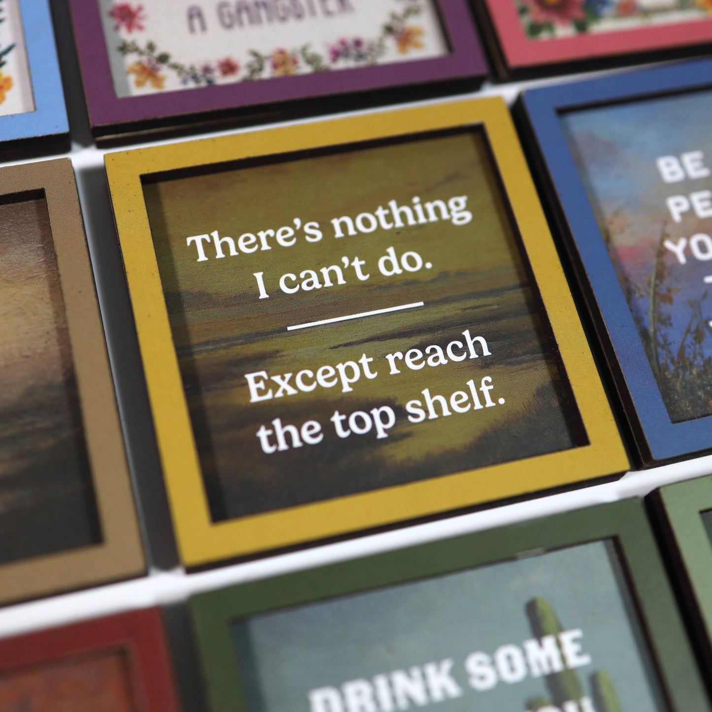 Reach the Top Shelf - Funny Wooden Magnet