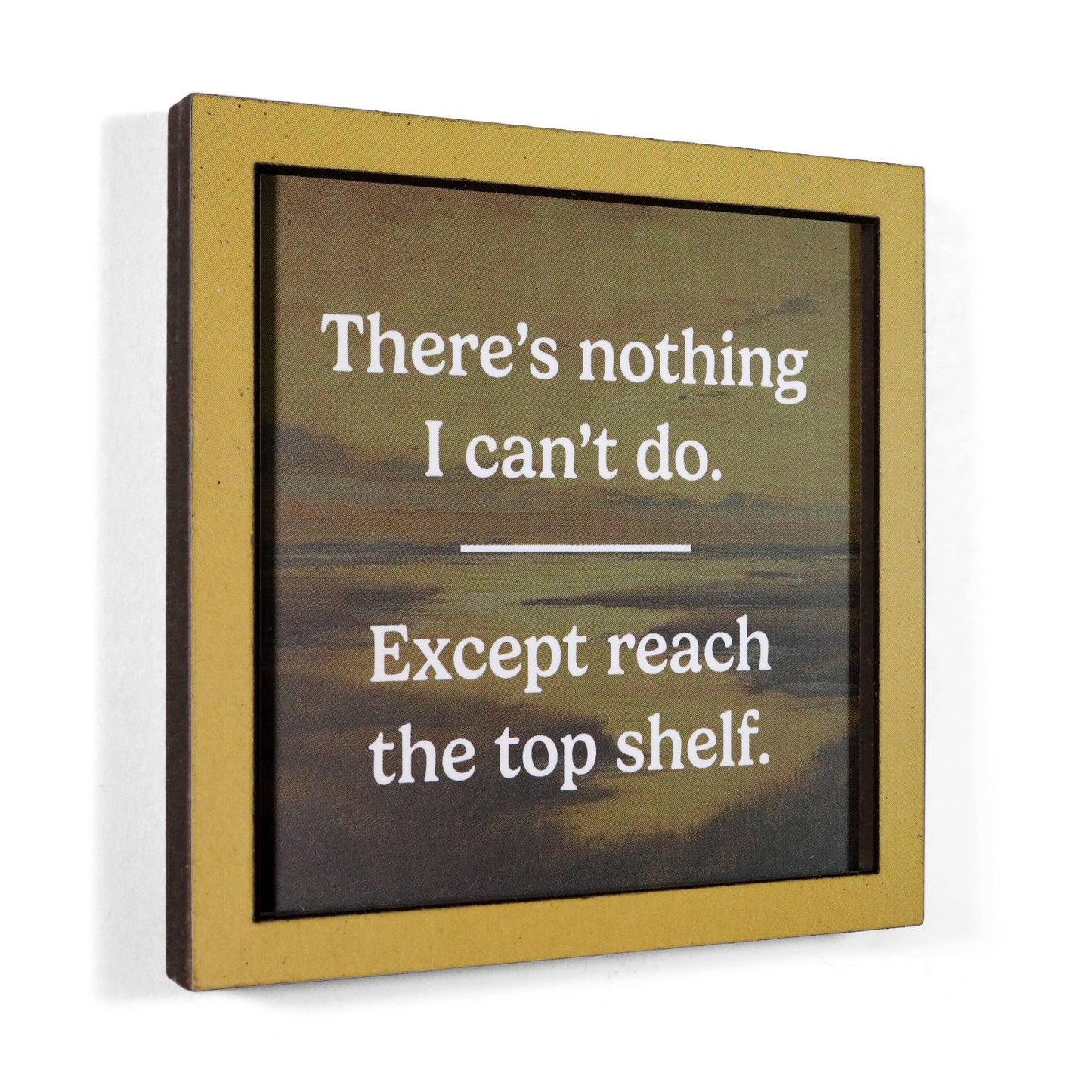 Reach the Top Shelf - Funny Wooden Magnet