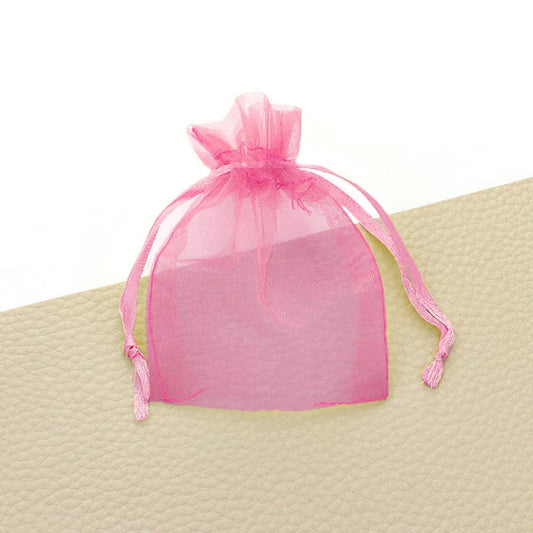 12PCS - 3 X 3.5 Ribboned Organza Gift Bags
: Light PP
